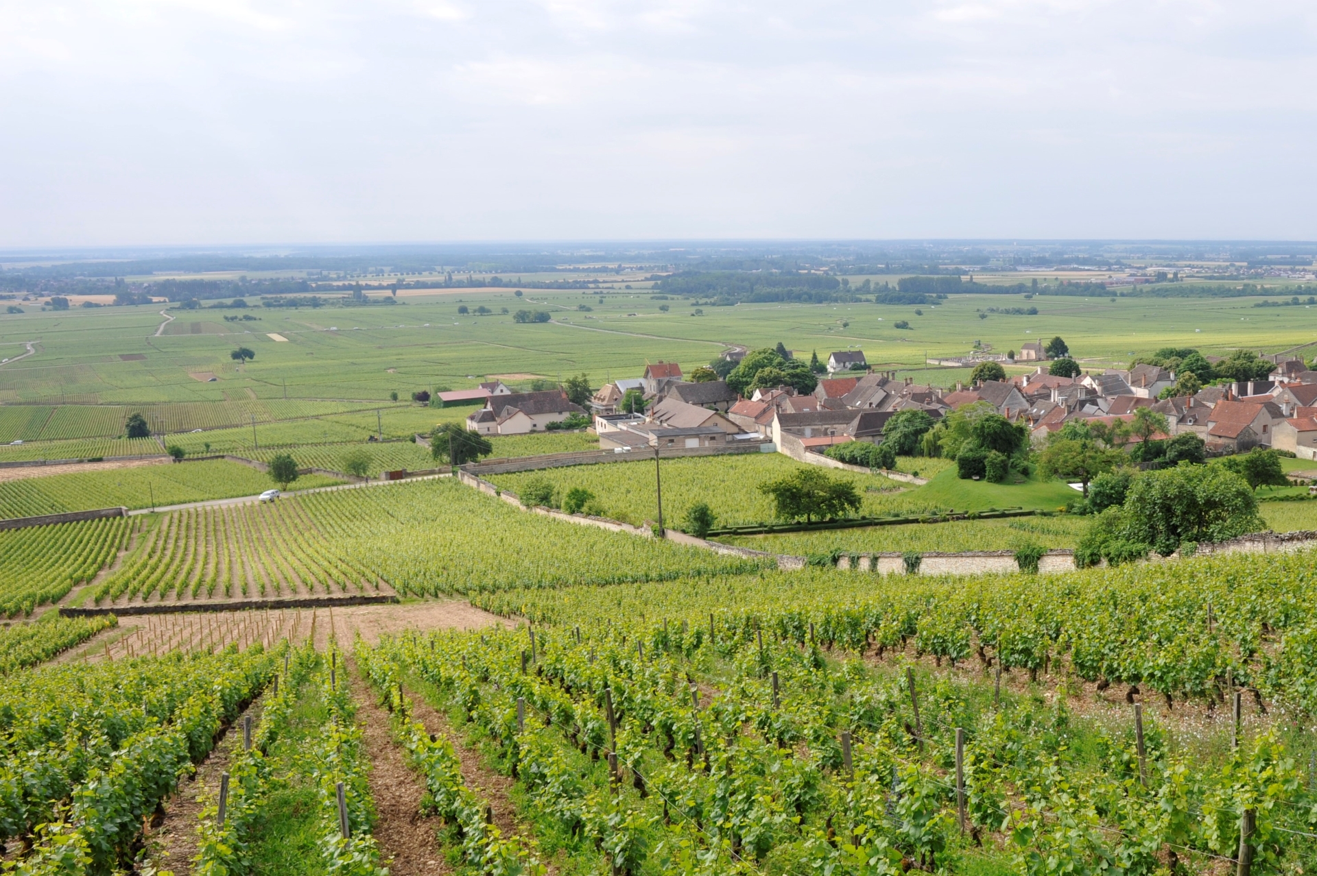 Domain Bitouzet-Prieur François Bitouzet-Prieur - BVV