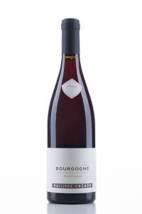 Bourgogne Pinot Noir